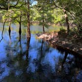 Review photo of Suwannee River State Park Campground by jessica O., April 25, 2022