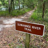 Review photo of Suwannee River State Park Campground by jessica O., April 25, 2022