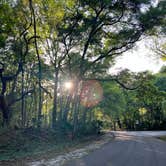 Review photo of Suwannee River State Park Campground by jessica O., April 25, 2022