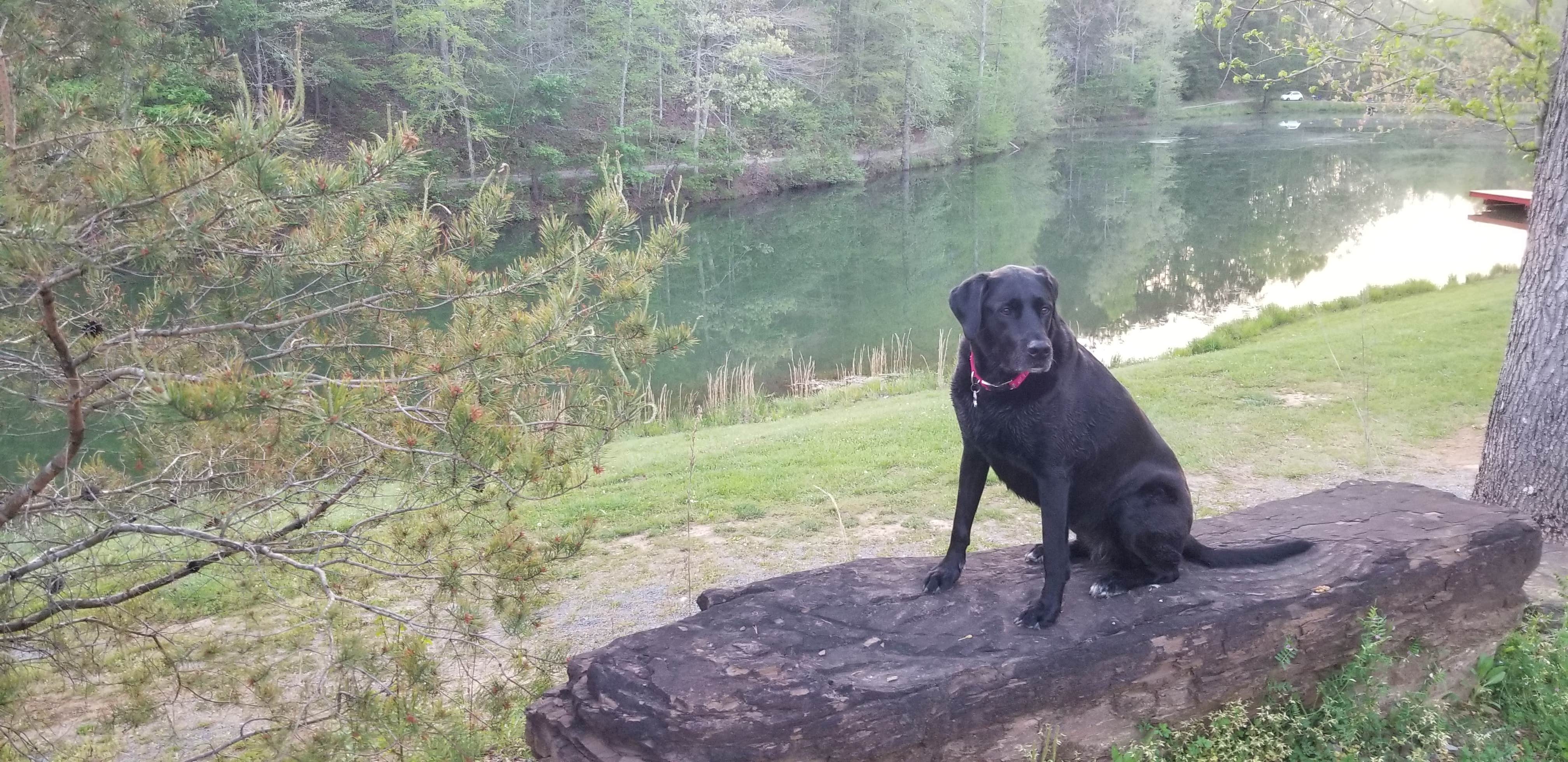 Hidden Lake Campground and Resort