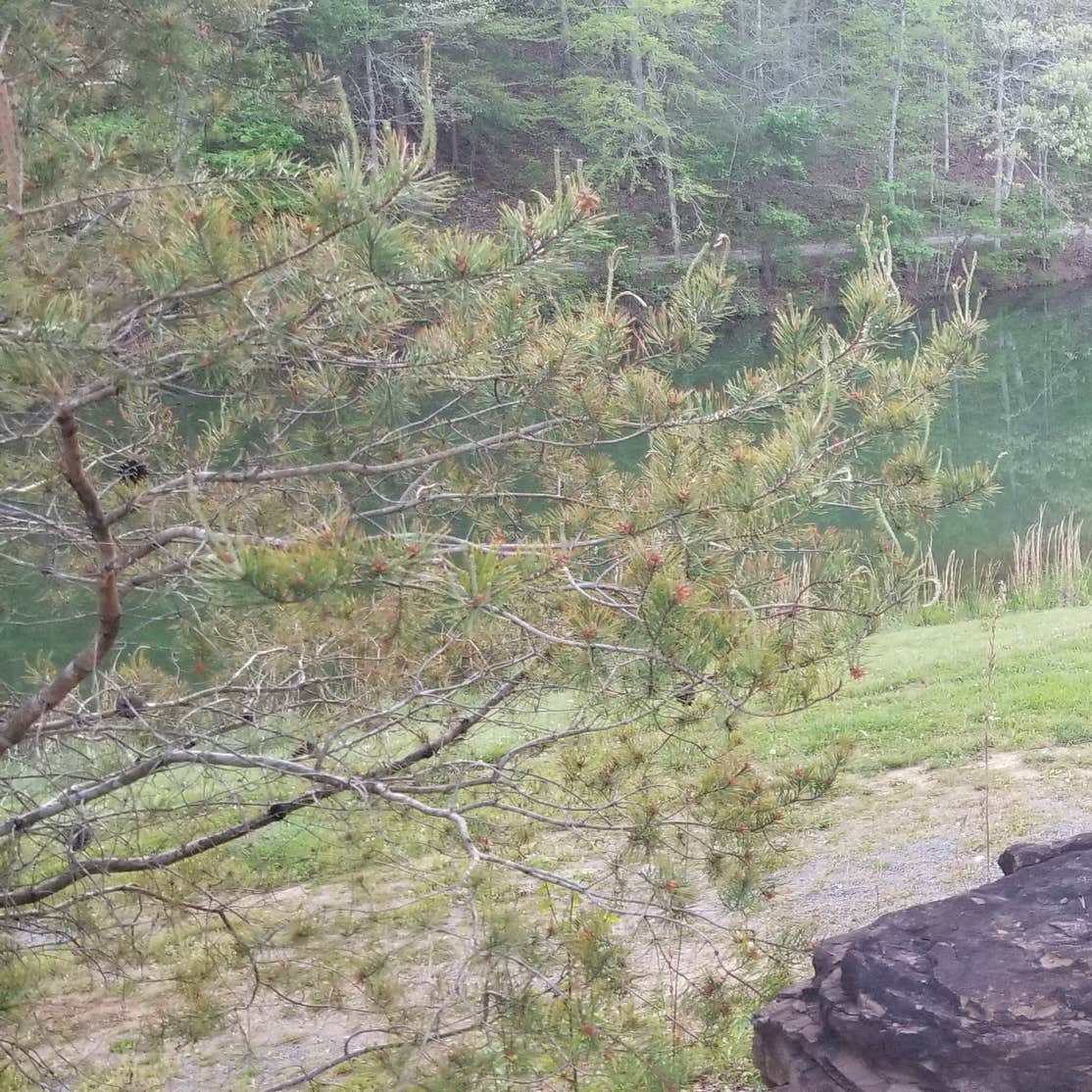 Hidden Lake Campground and Resort Tallassee, TN