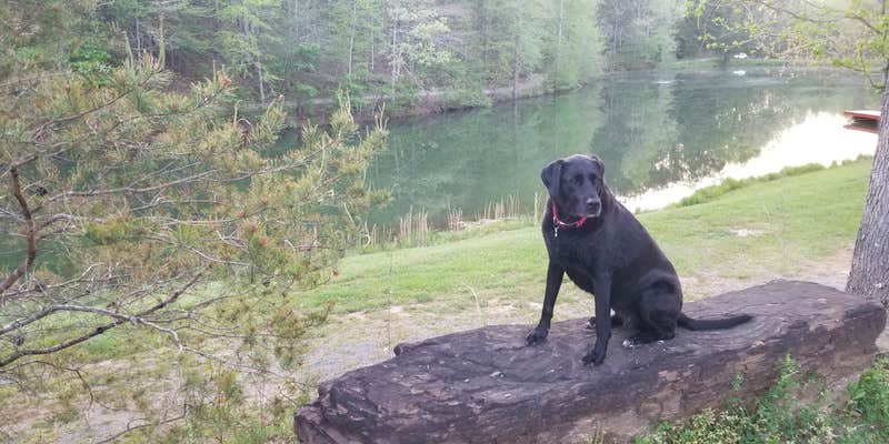 Camper submitted image from Hidden Lake Campground and Resort