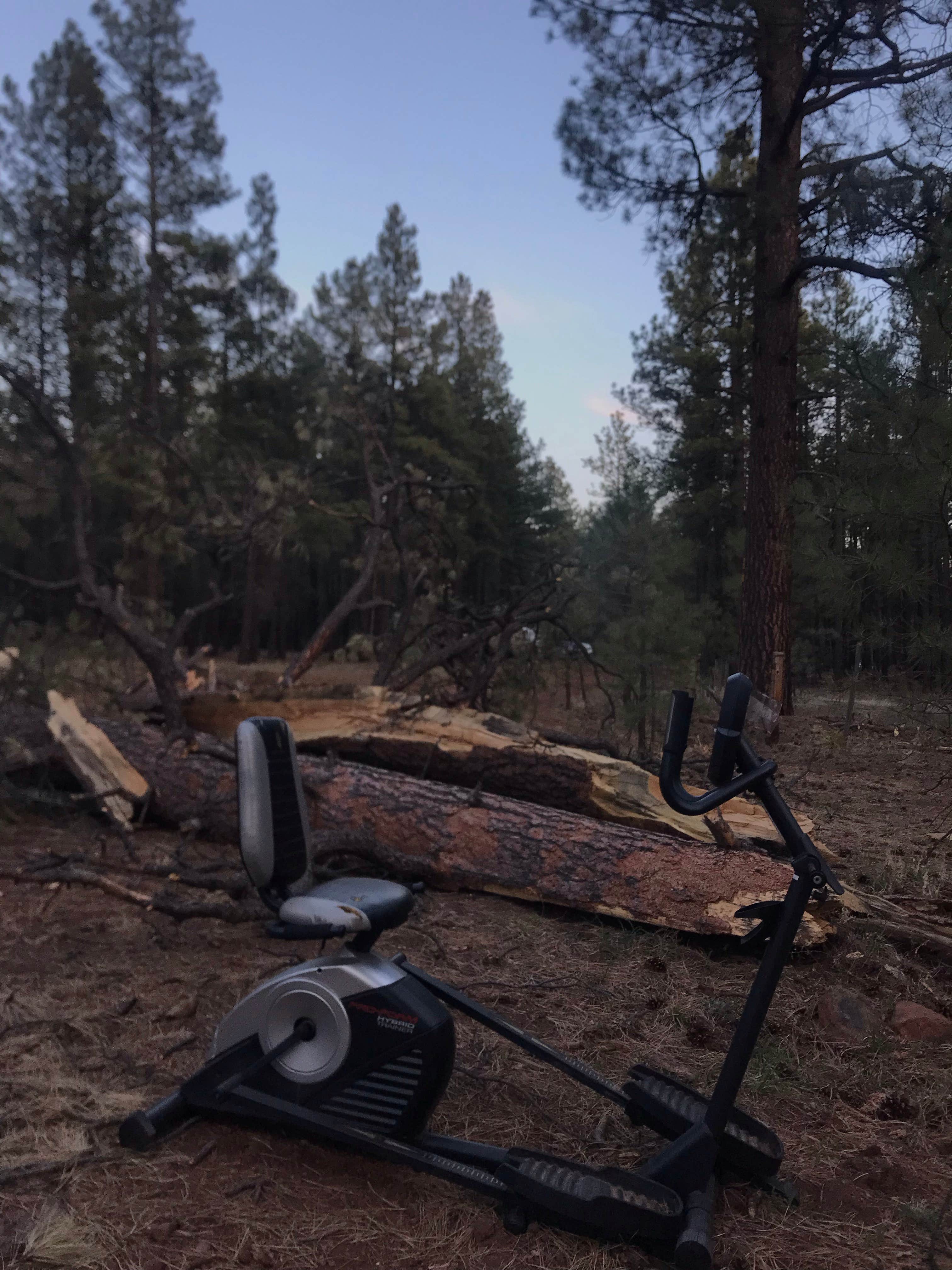 Camper-submitted photo at Fort Valley Dispersed Camping near Bellemont, AZ