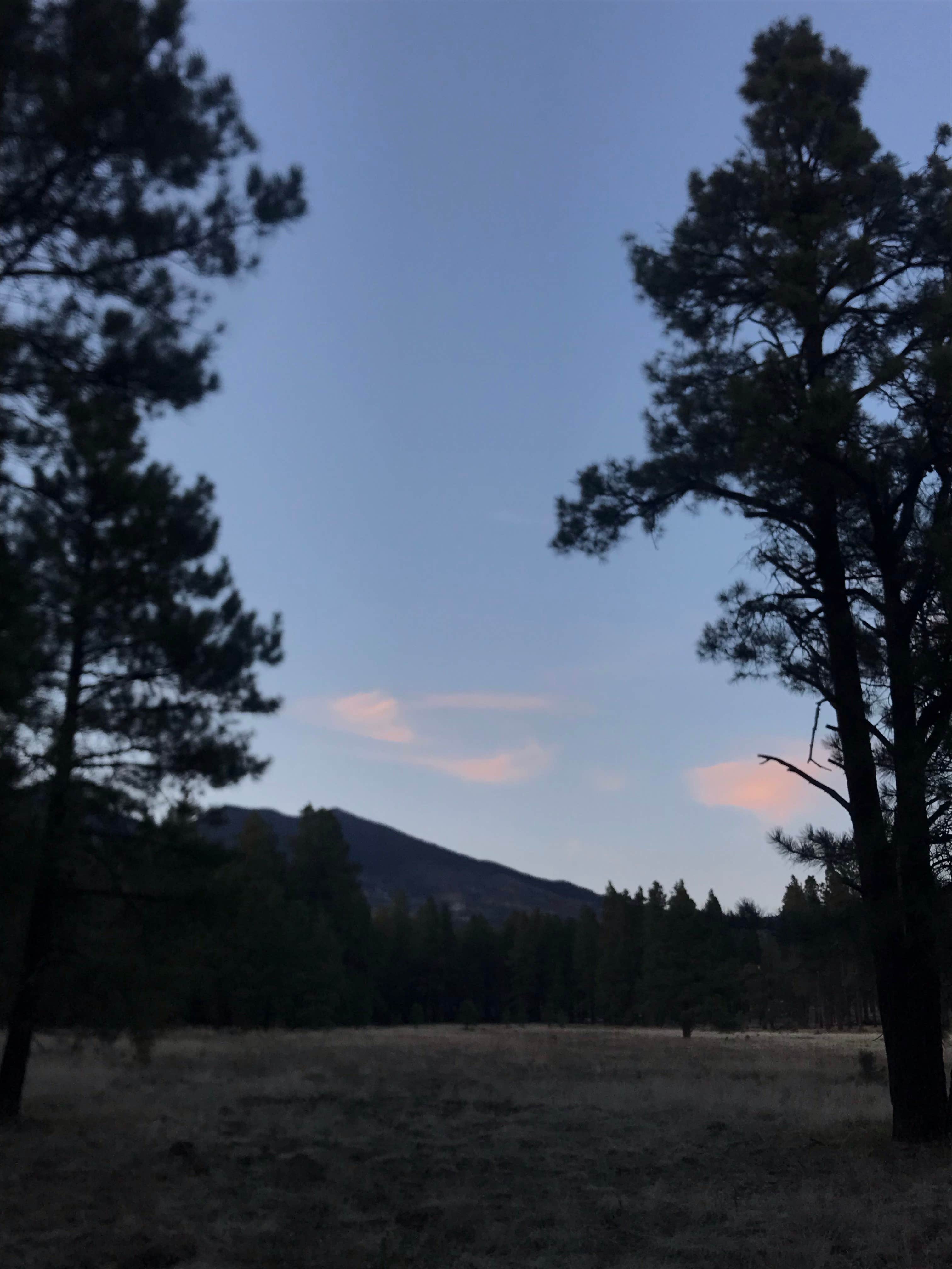 Camper-submitted photo at Fort Valley Dispersed Camping near Bellemont, AZ