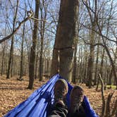 Review photo of Beaver Pond Campground — Harriman State Park by Laurie S., July 13, 2018