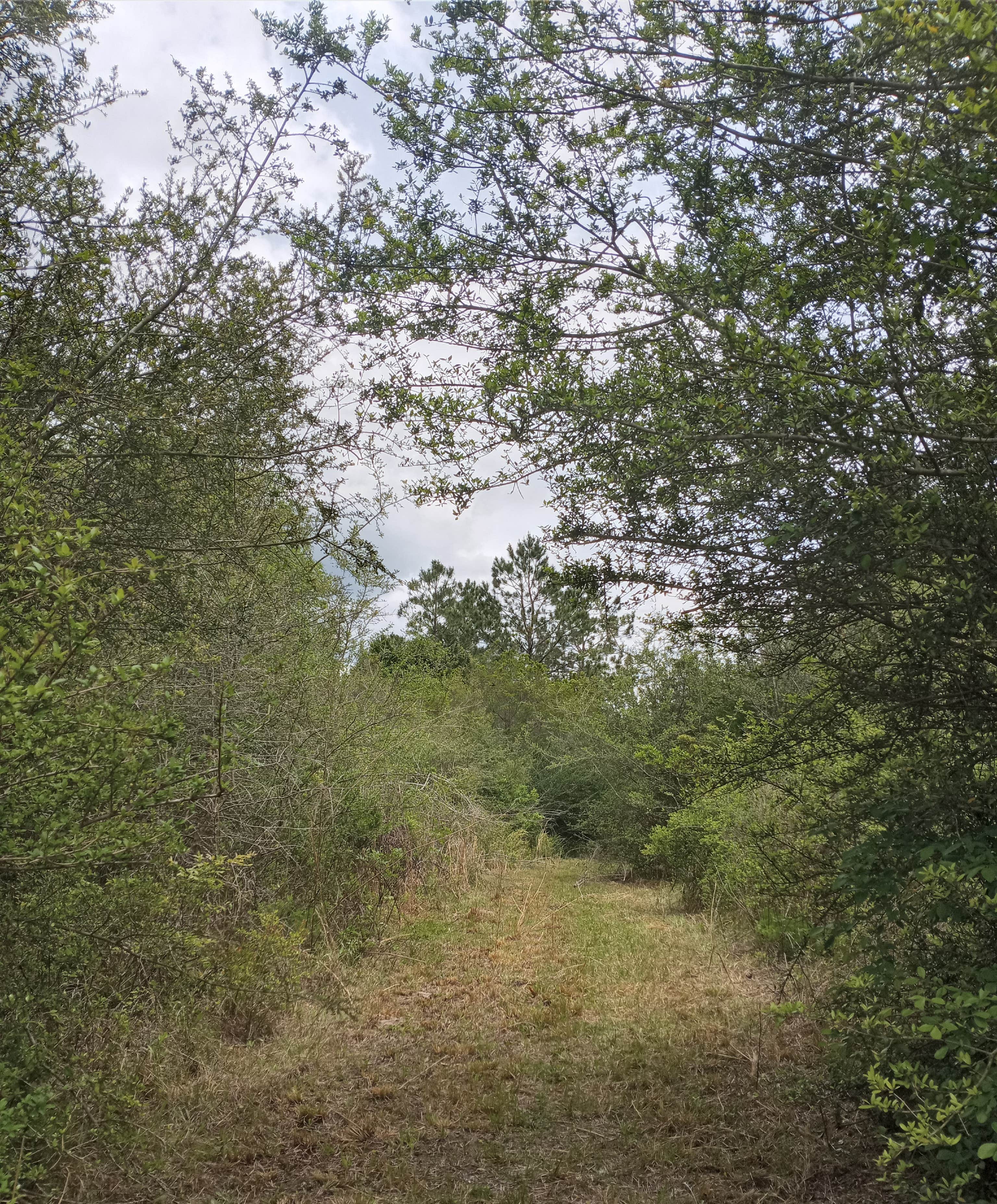 Camper-submitted photo at Pine Breeze Acres near Bagdad, FL