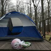 Review photo of Beaver Pond Campground — Harriman State Park by Laurie S., July 13, 2018