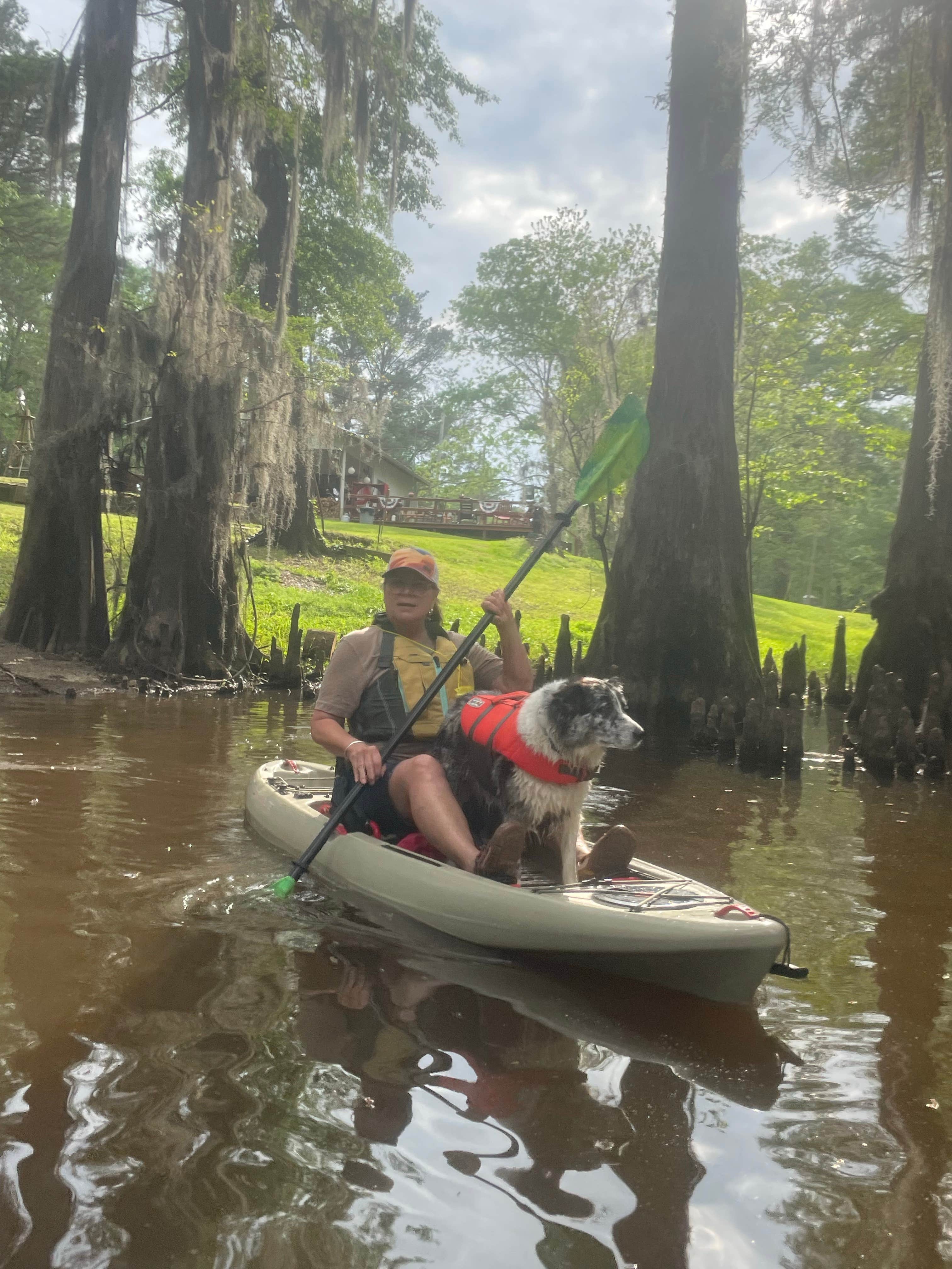 Camper submitted image from Buffalo Bayou RV Park - 4