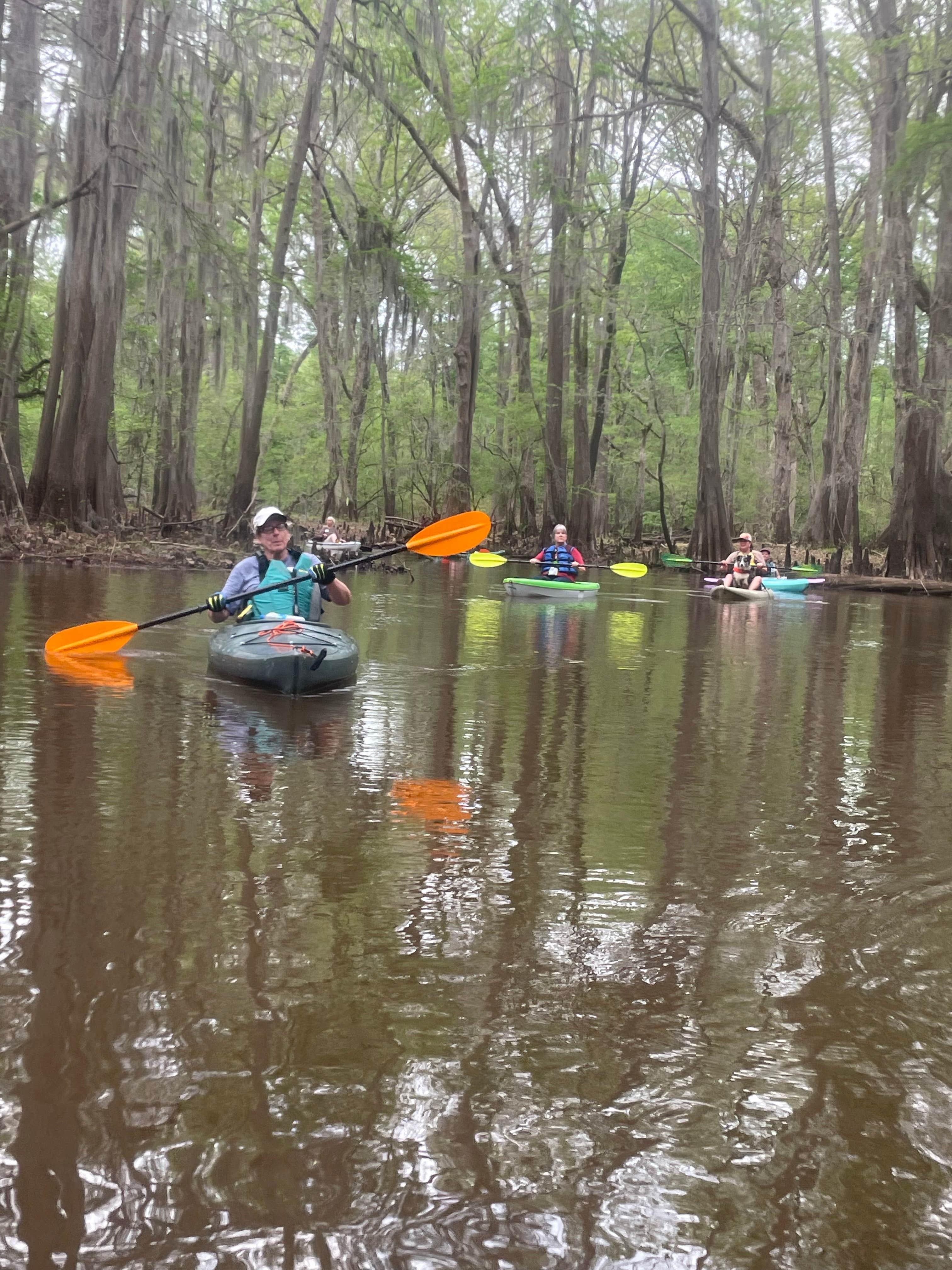 Camper submitted image from Buffalo Bayou RV Park - 3