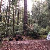 Review photo of Elk Prairie Campground — Prairie Creek Redwoods State Park by Olivia A., April 26, 2022
