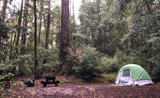 Olivia A.'s photo at Elk Prairie Campground — Prairie Creek Redwoods State Park near Somes Bar, CA