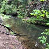 Review photo of Elk Prairie Campground — Prairie Creek Redwoods State Park by Olivia A., April 26, 2022