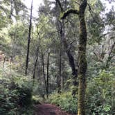 Review photo of Elk Prairie Campground — Prairie Creek Redwoods State Park by Olivia A., April 26, 2022