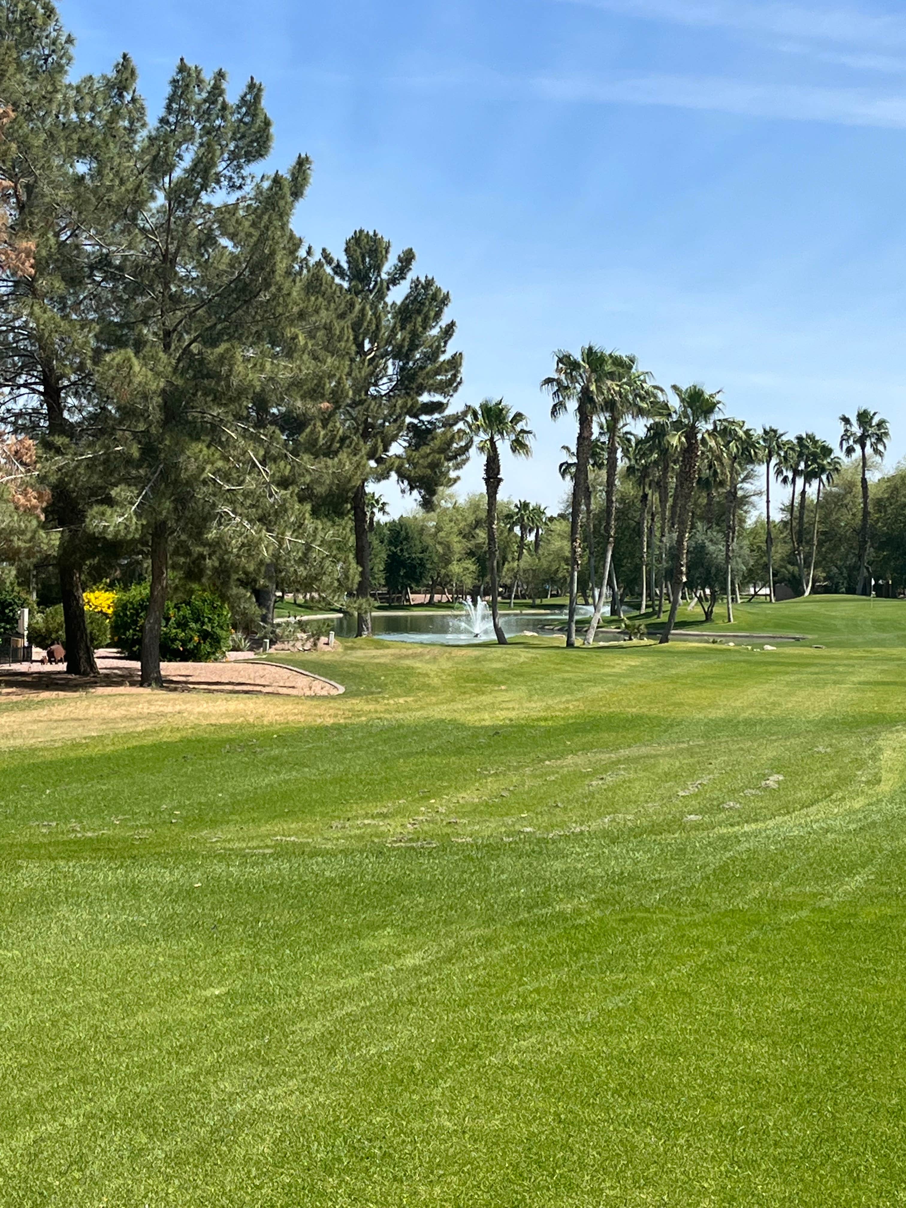 Escape to Paradise: Arizona's Palm Creek Golf & RV Resort - Your Home Away From Home