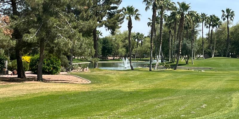 Camper submitted image from Palm Creek Golf and RV Resort