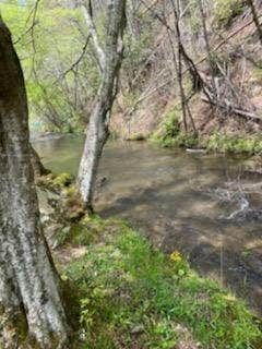 Camper-submitted photo at Best RV lot in The Smokies near Del Rio, TN