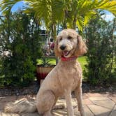 Review photo of Gulf Waters RV Resort by Donna H., April 26, 2022