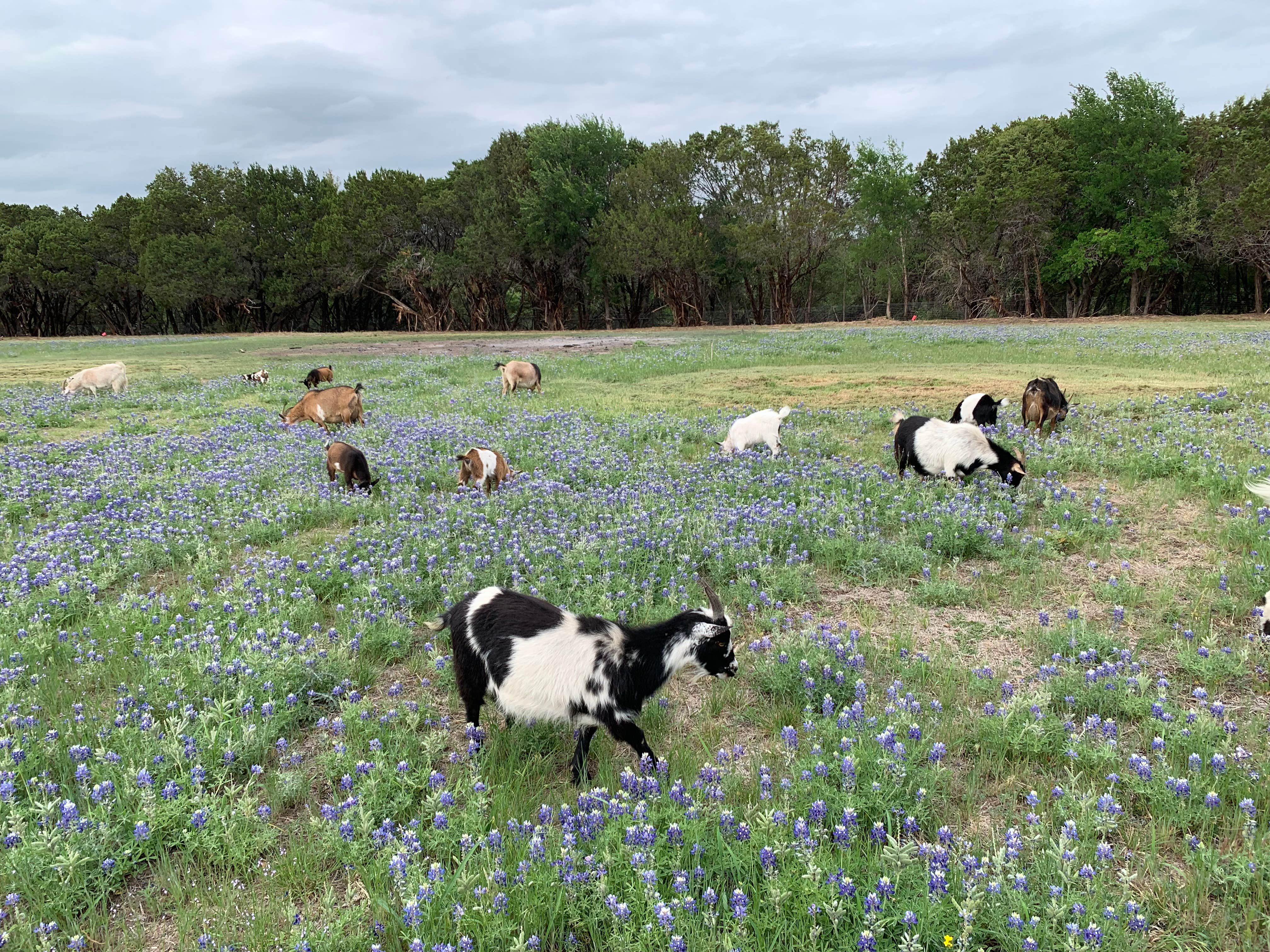 Camper-submitted photo at Dinosaur Valley RV Park near Whitney Lake