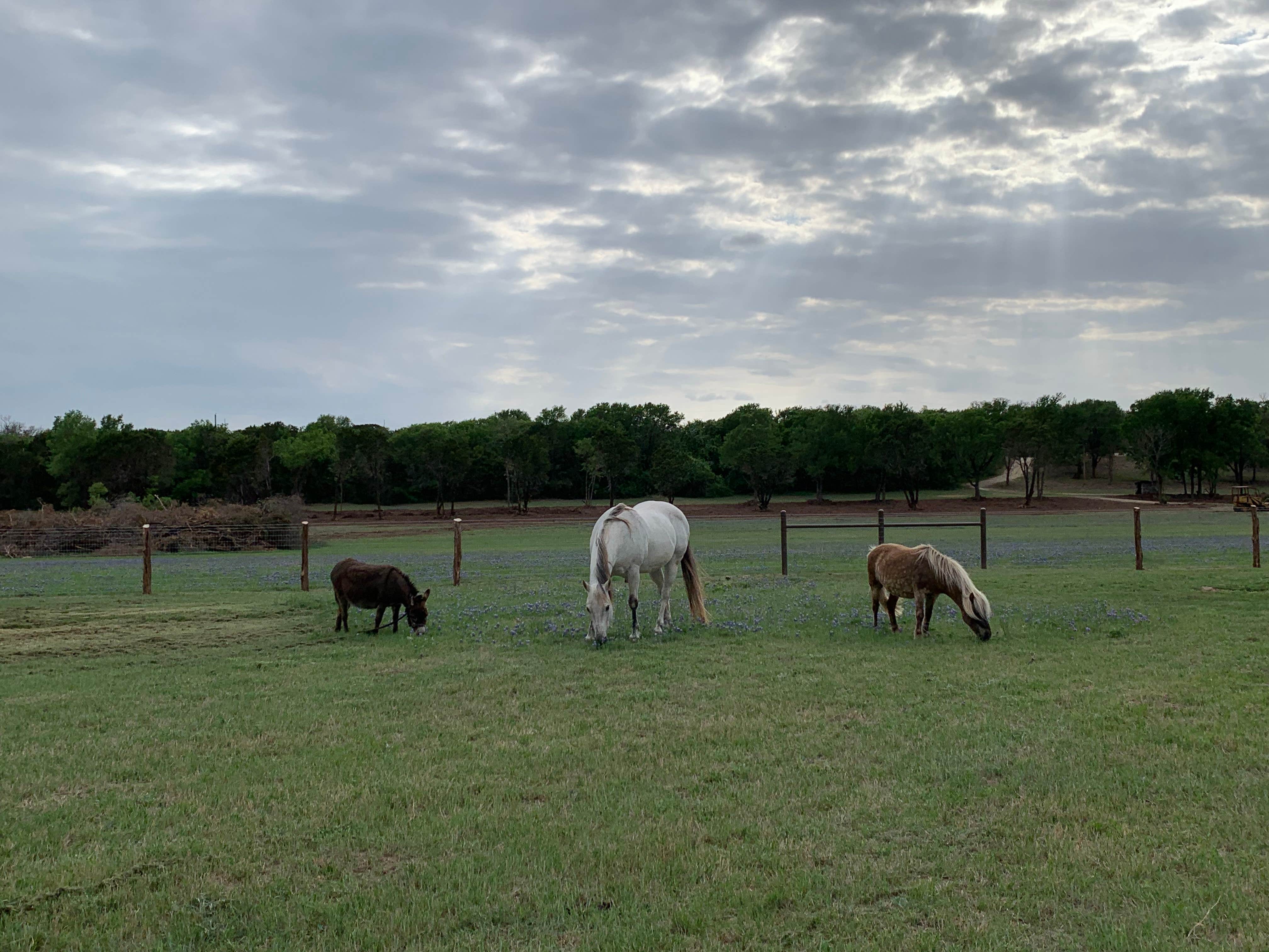 Camper-submitted photo at Dinosaur Valley RV Park near Whitney Lake