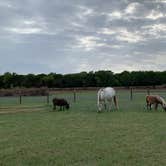 Review photo of Dinosaur Valley RV Park by Lori L., April 26, 2022