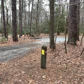 Review photo of Martinak State Park Campground by Laure D., April 26, 2022