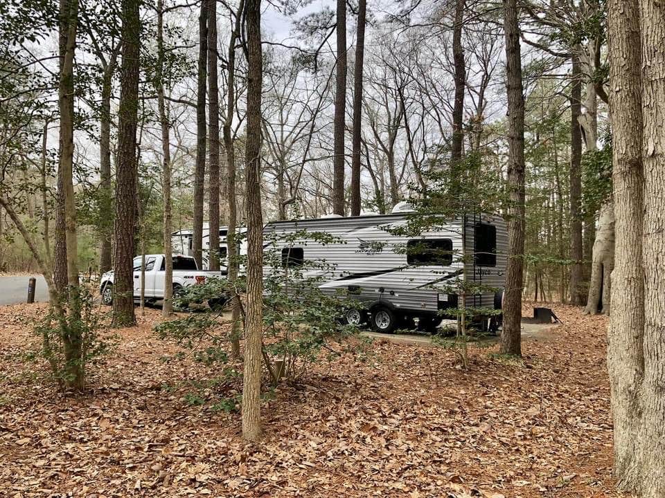 Laure D.'s photo at Martinak State Park Campground in Maryland