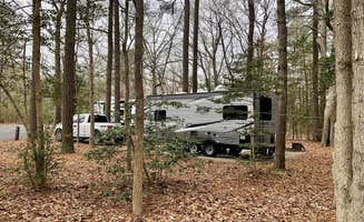 Laure D.'s photo at Martinak State Park Campground near Kennedyville, MD
