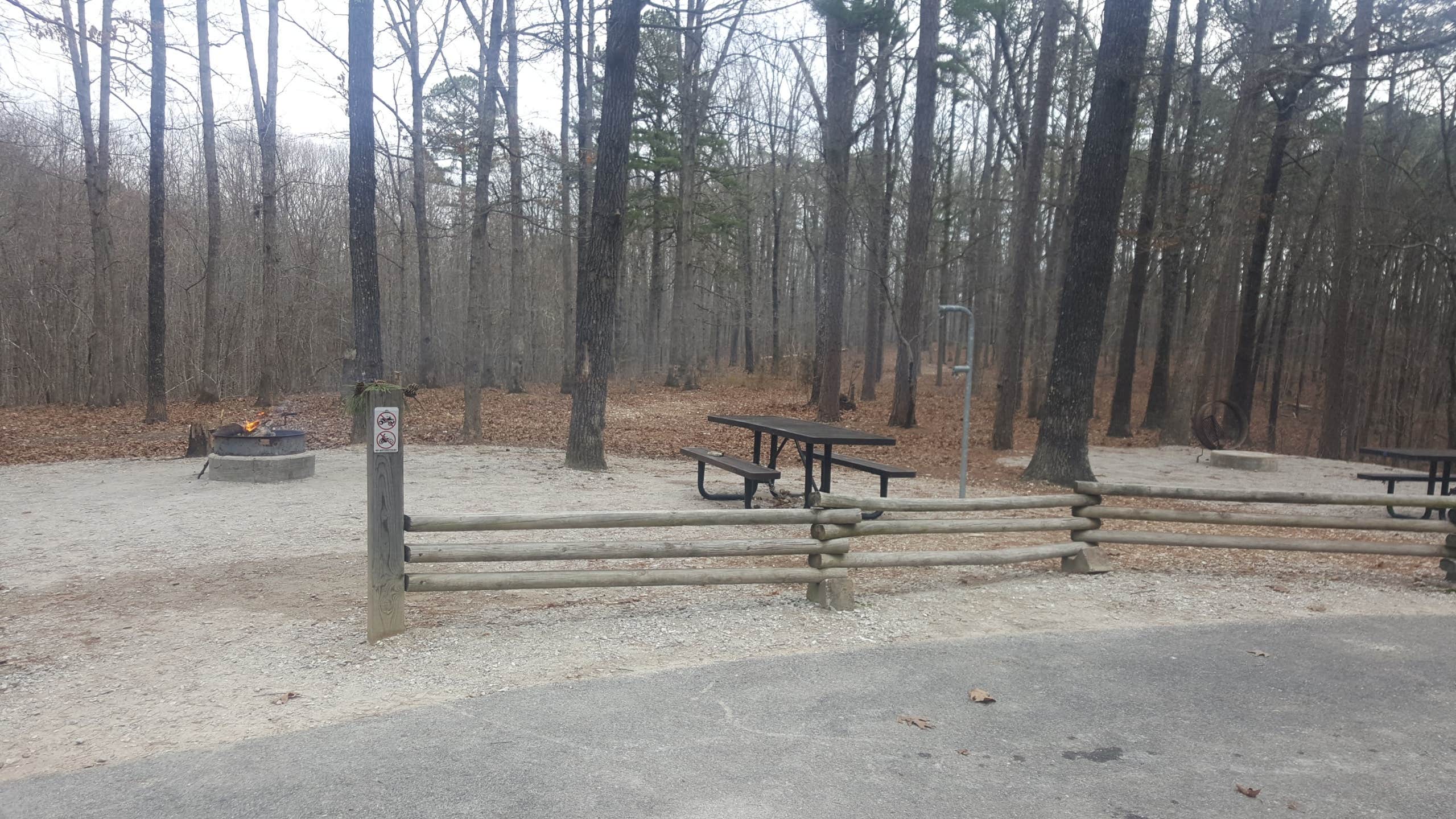 Camper submitted image from Cobb Ridge - 4
