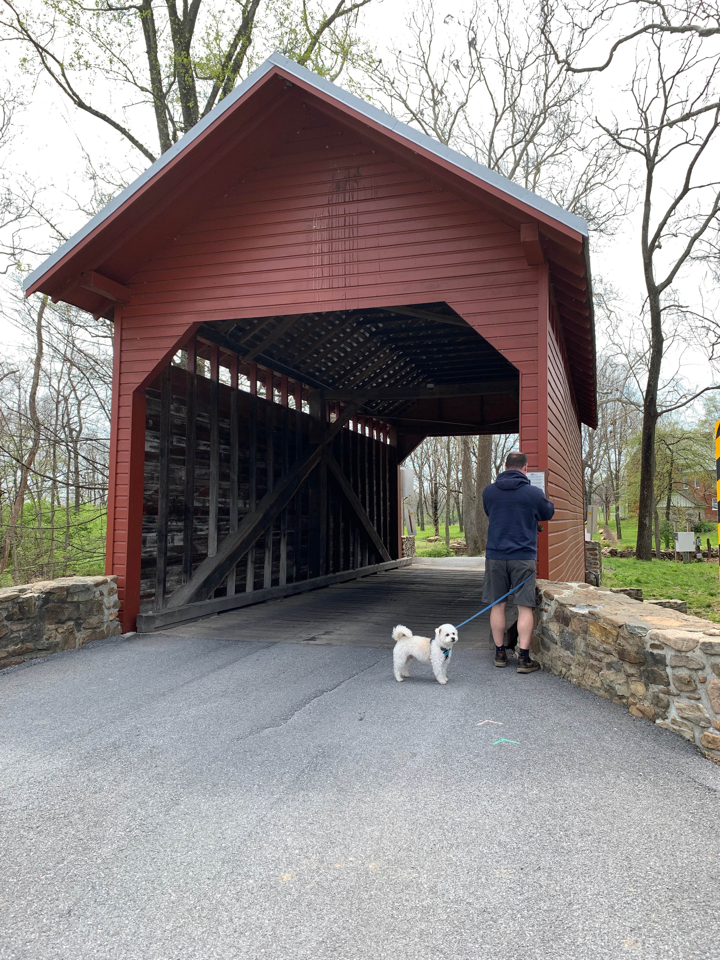 Laure D.'s photo of camping with pets at Houck - Cunningham Falls State Park in Maryland