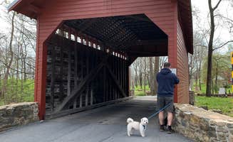 Laure D.'s photo of camping with pets at Houck - Cunningham Falls State Park in Maryland