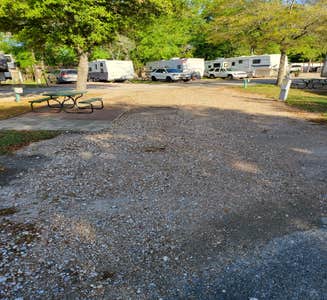 Camper-submitted photo from Woodland Lakes RV Park