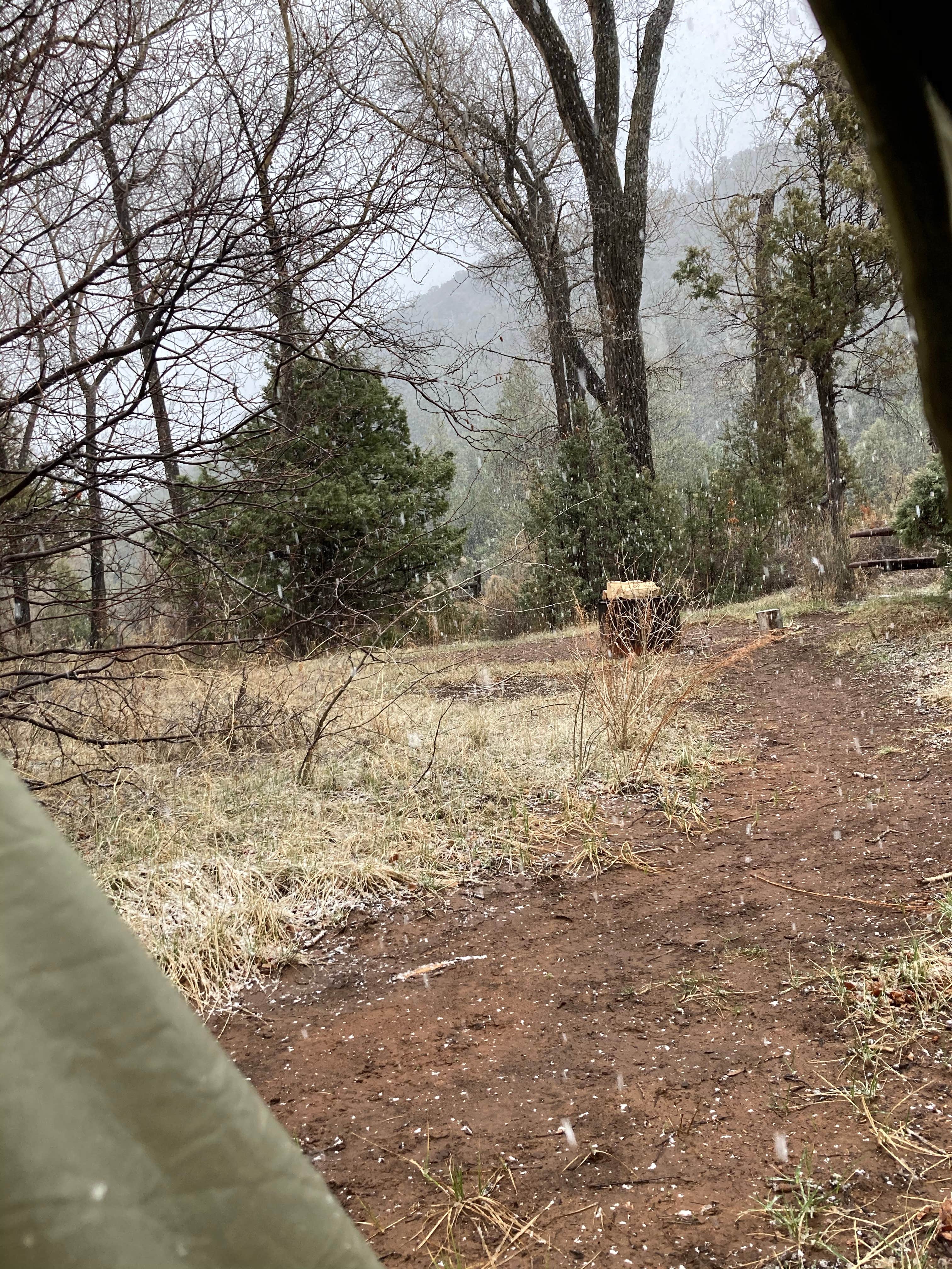Camper-submitted photo at Big Dominguez Campground near Mack, CO