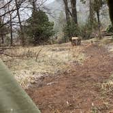 Review photo of Big Dominguez Campground by Evan S., April 26, 2022