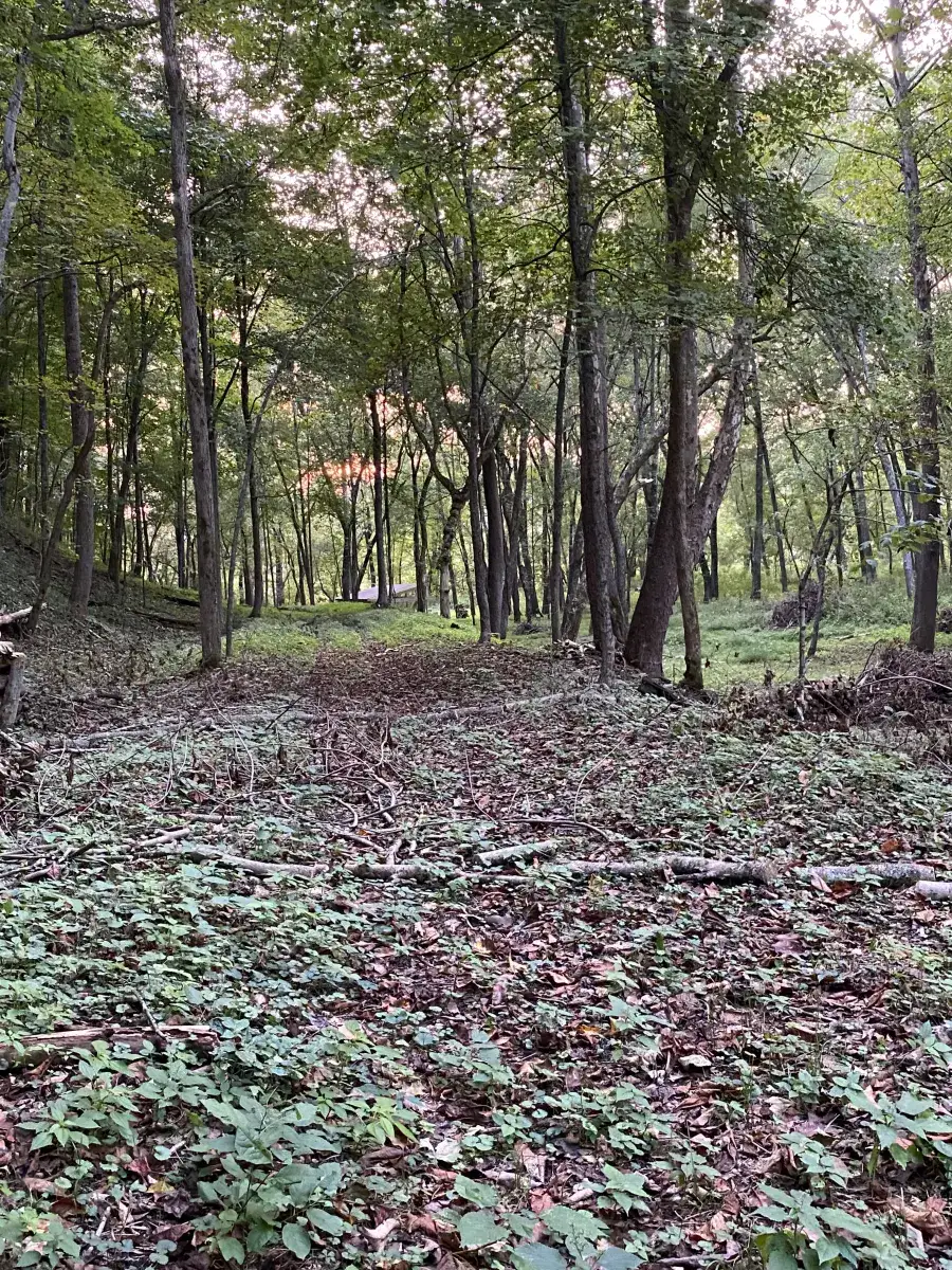 Baileys Trail Tent Camping