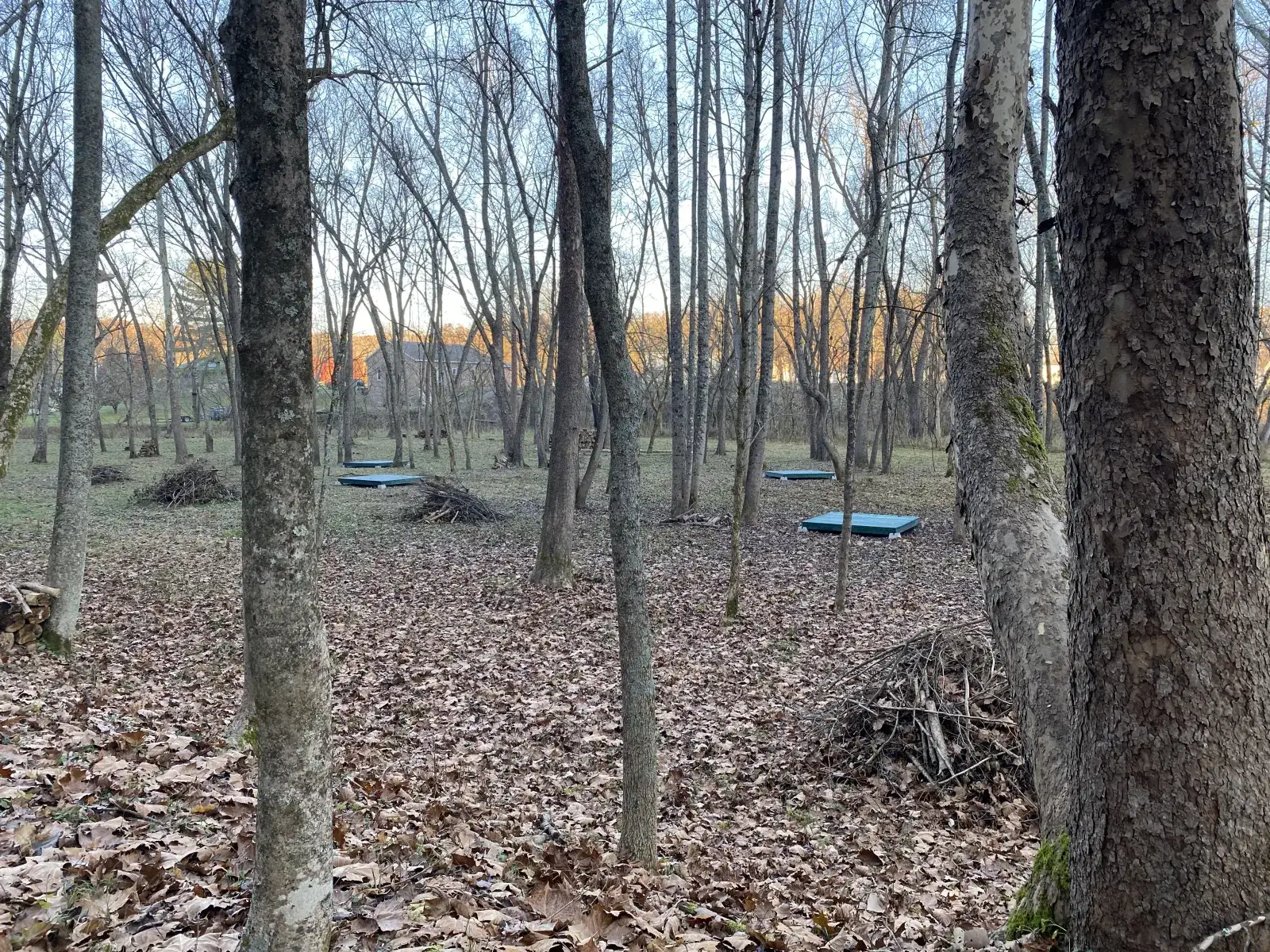 Camper-submitted photo at Baileys Trail Tent Camping near Logan, OH