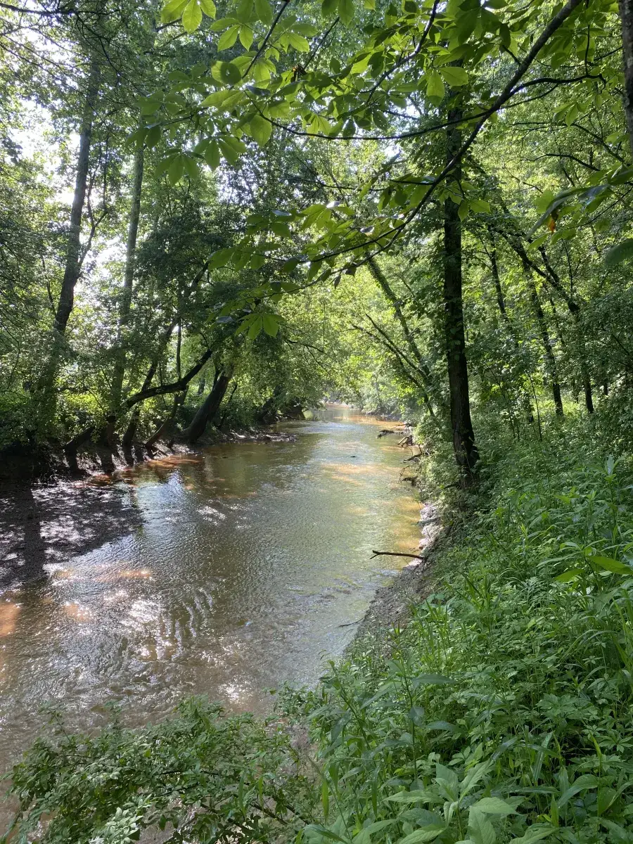 Camper-submitted photo at Baileys Trail Tent Camping near Logan, OH