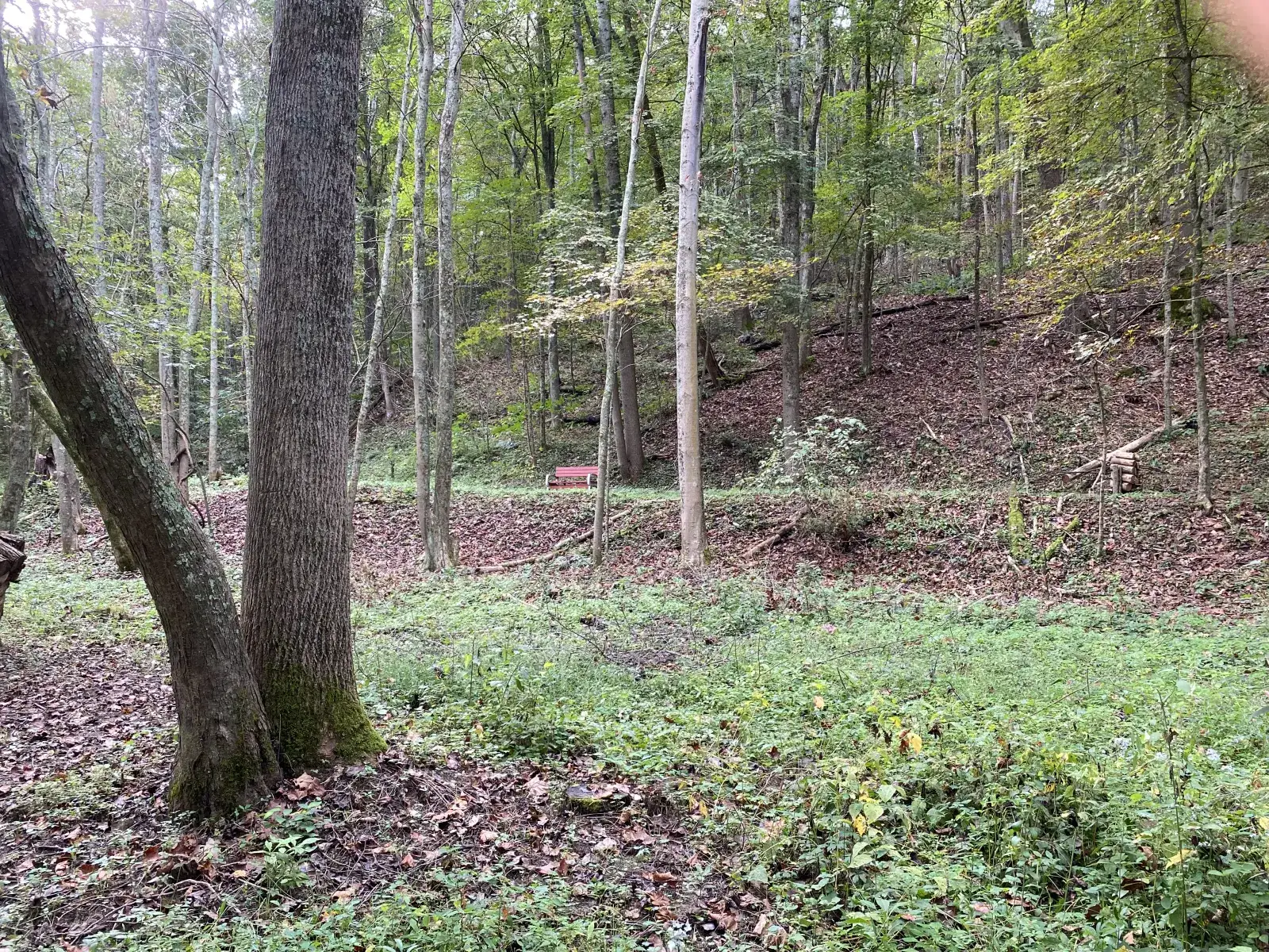 Camper-submitted photo at Baileys Trail Tent Camping near Logan, OH
