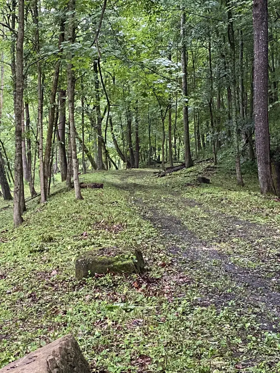 Camper-submitted photo at Baileys Trail Tent Camping near Logan, OH