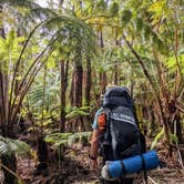 Review photo of Napau Crater Backcountry Camp — Hawai'i Volcanoes National Park by Shari  G., April 26, 2022