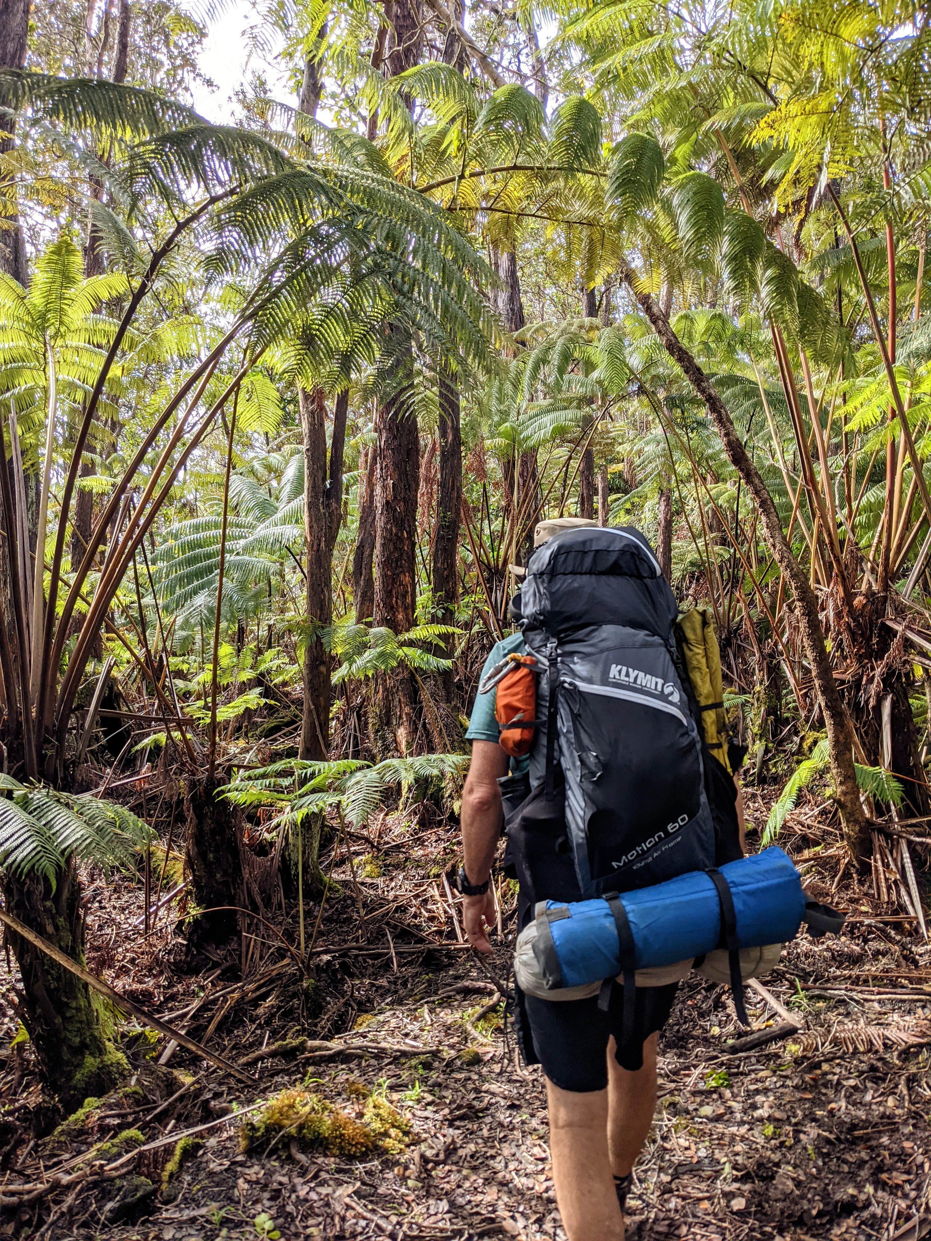 Camper submitted image from Napau Crater Backcountry Camp — Hawai'i Volcanoes National Park - 2