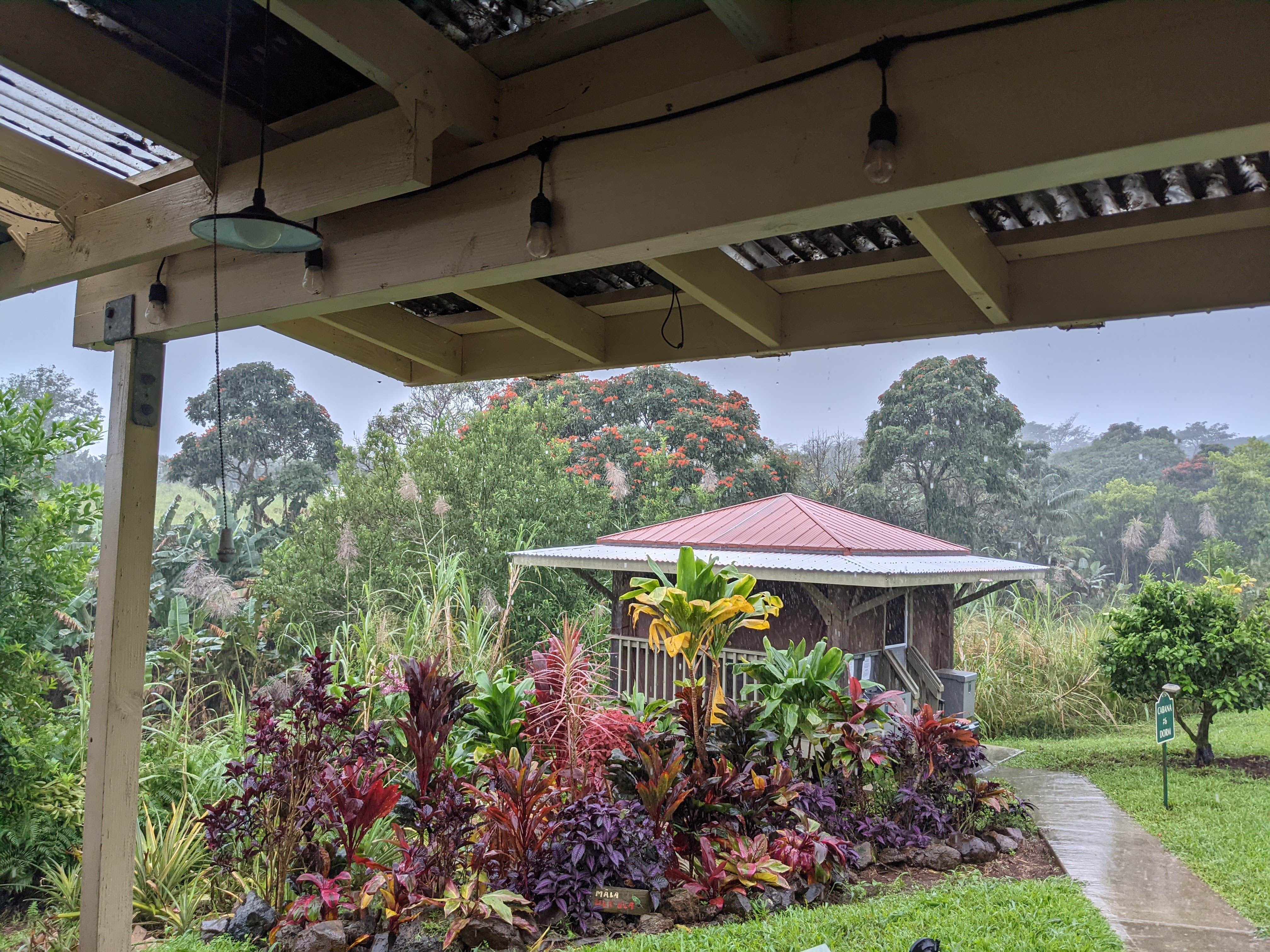 Camper-submitted photo at Hamakua Guesthouse & Camping Cabanas near Hilo, HI