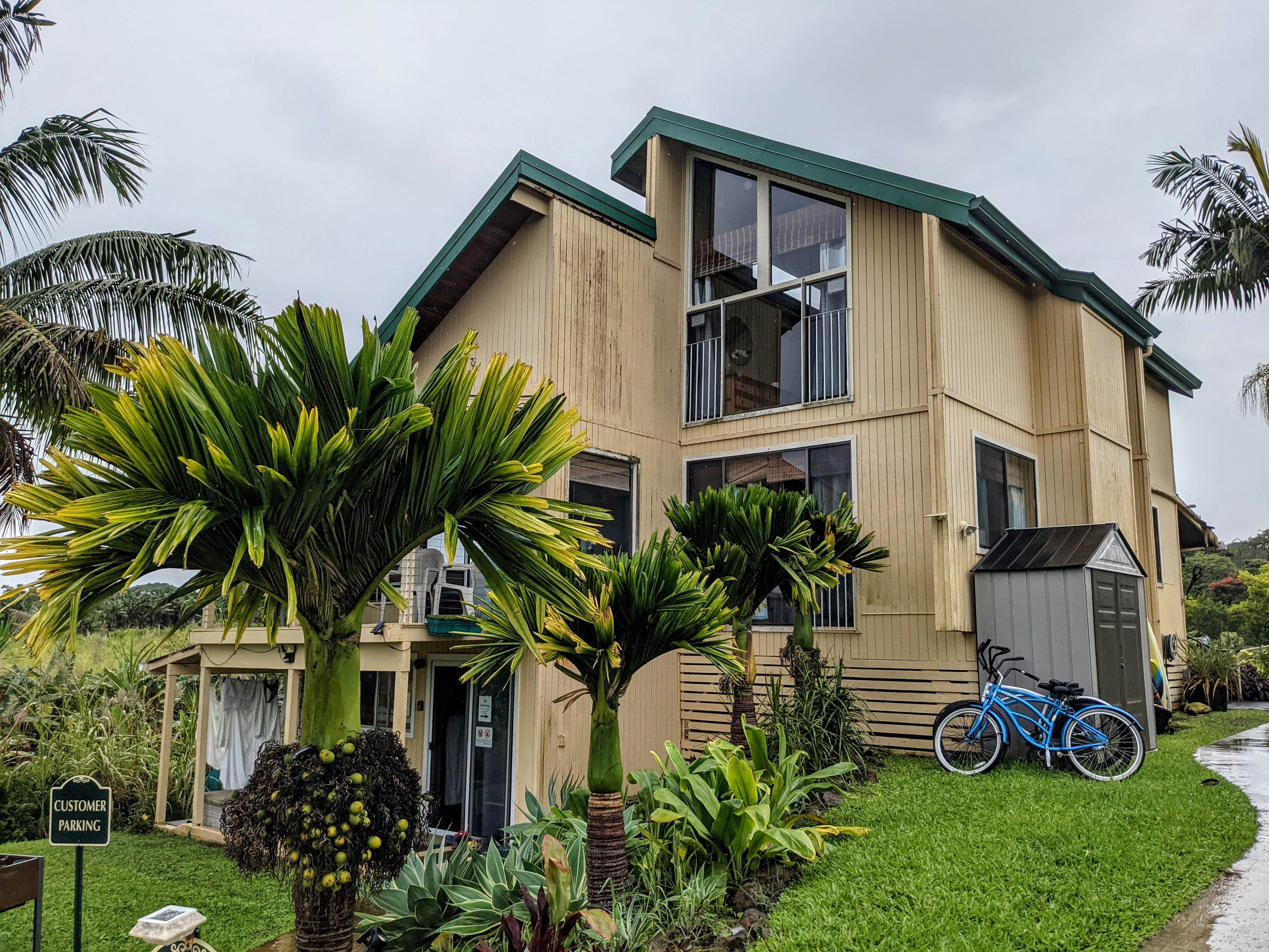 Camper-submitted photo at Hamakua Guesthouse & Camping Cabanas near Hilo, HI