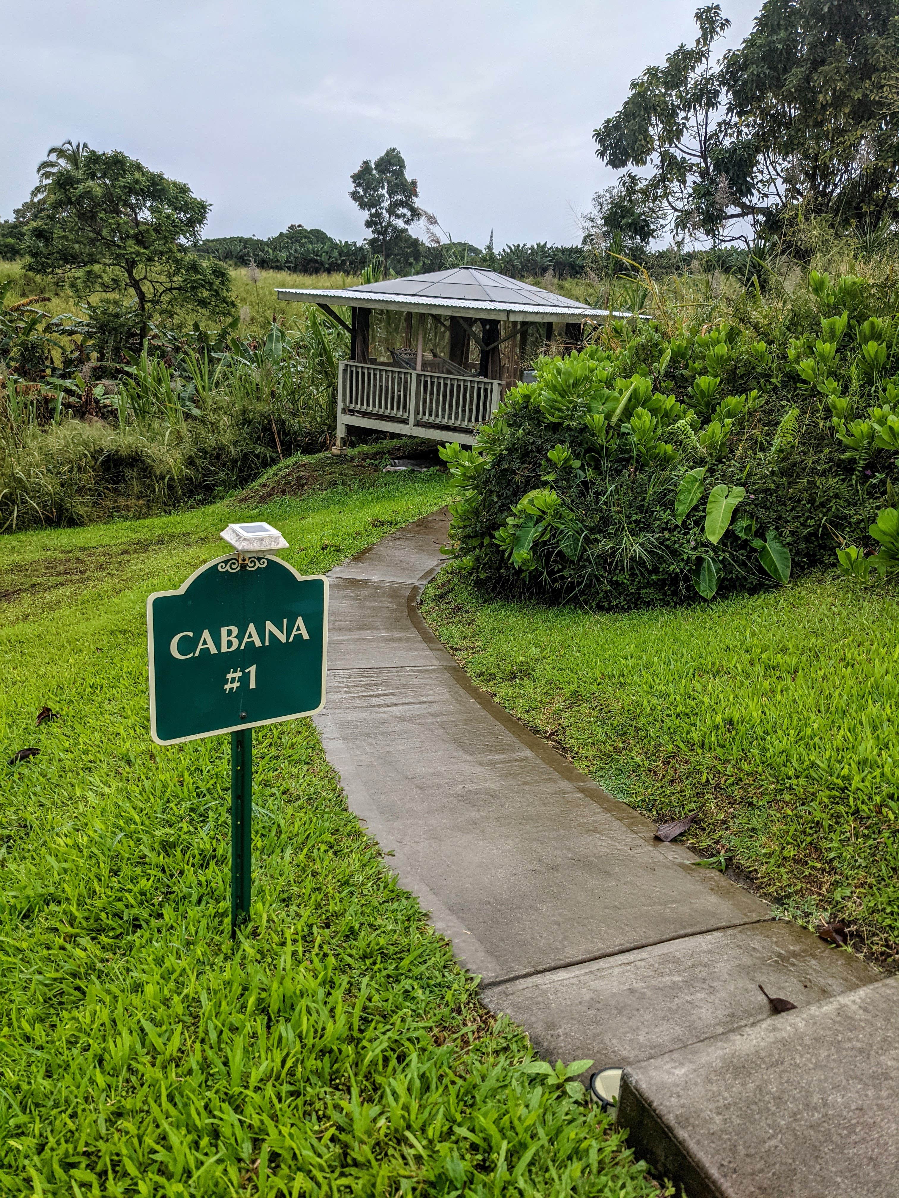 Camper-submitted photo at Hamakua Guesthouse & Camping Cabanas near Hilo, HI