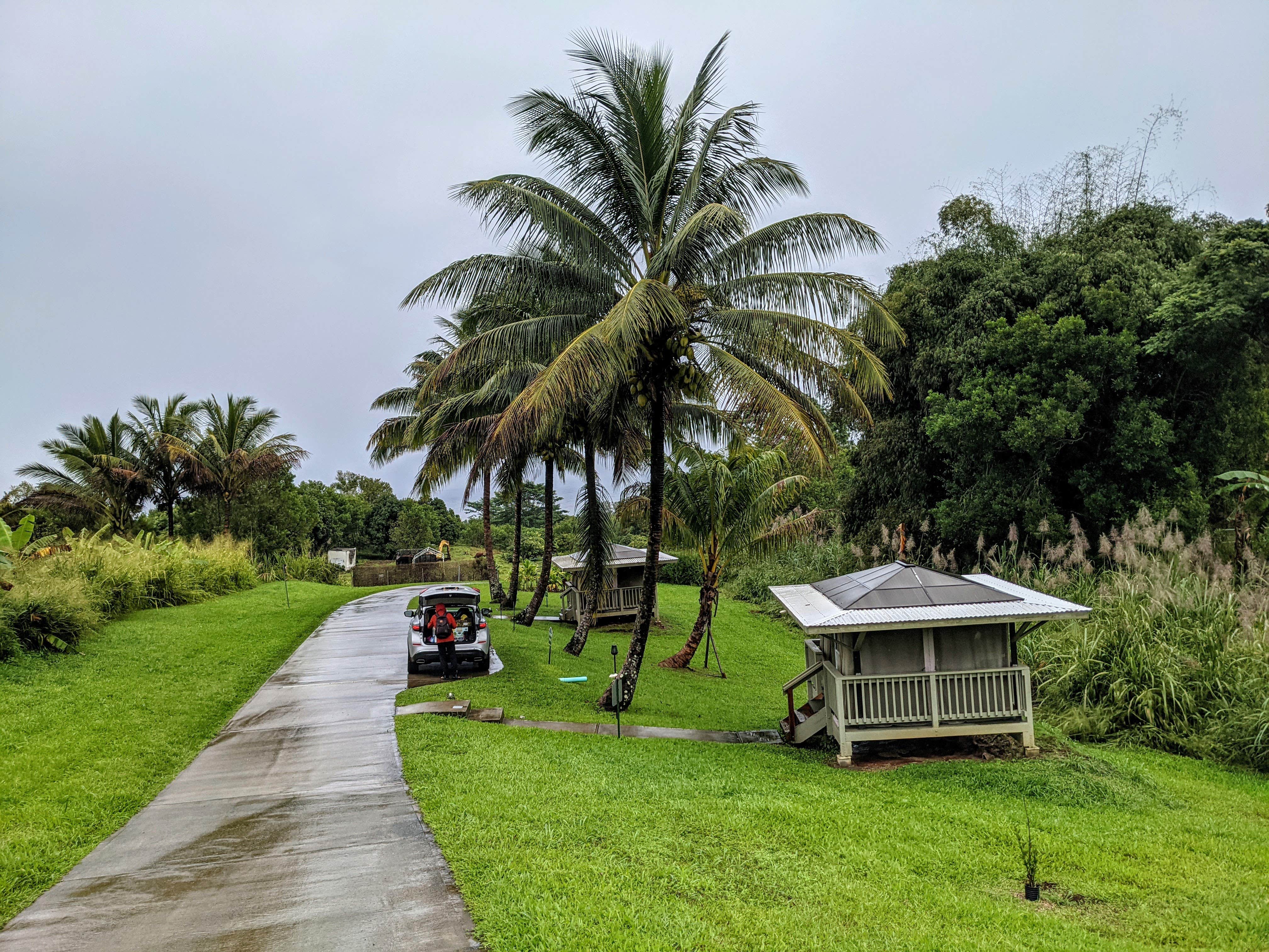 Camper submitted image from Hamakua Guesthouse & Camping Cabanas - 2