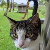 Review photo of Hamakua Guesthouse & Camping Cabanas by Shari  G., April 26, 2022