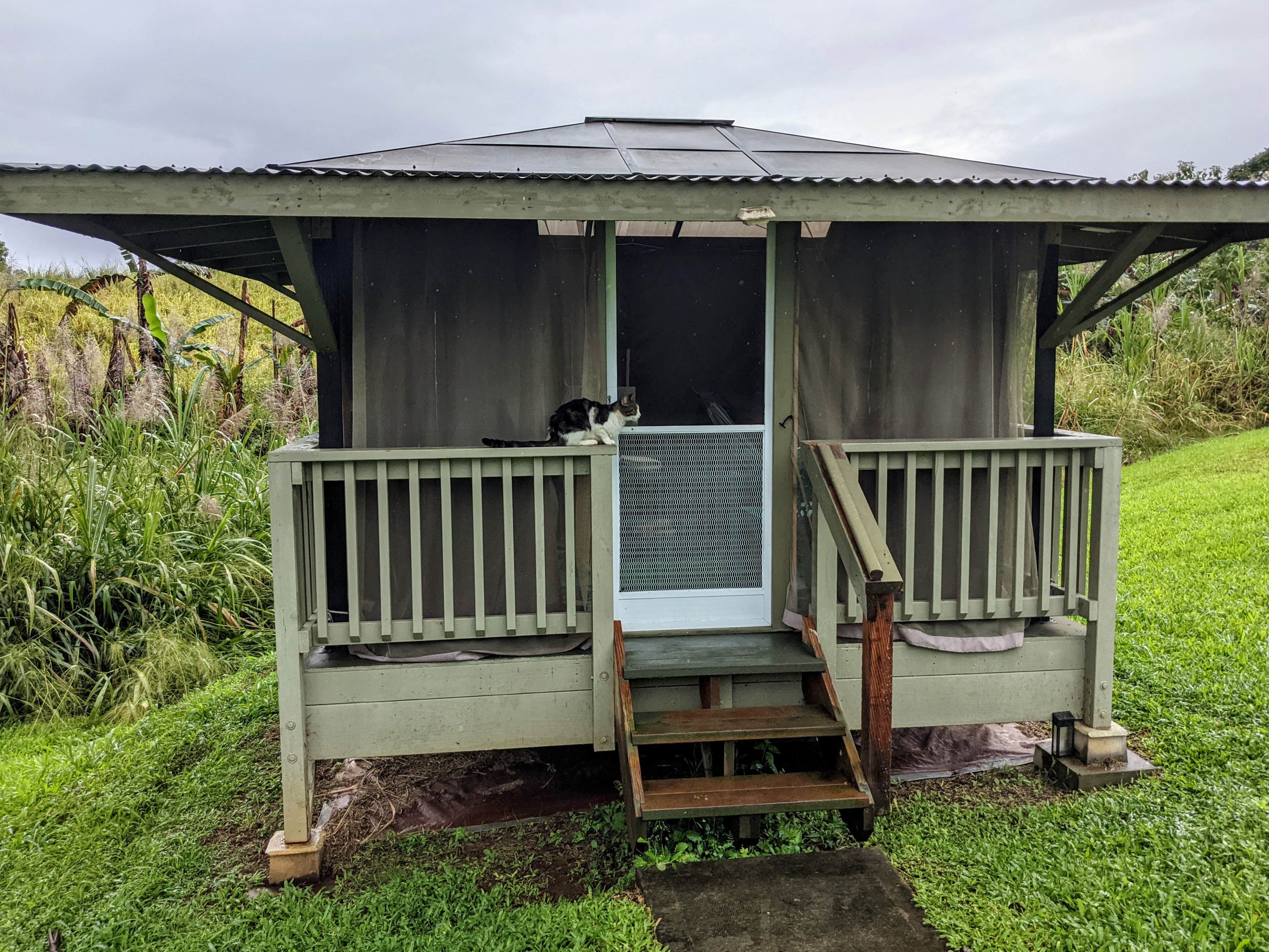 Shari  G.'s photo of glamping accommodations at Hamakua Guesthouse & Camping Cabanas near Hilo, HI