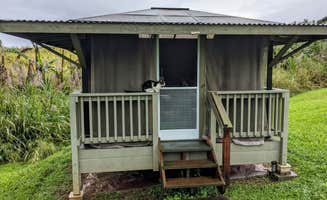 Shari  G.'s photo of a cabin at Hamakua Guesthouse & Camping Cabanas near Hawaii Volcanoes National Park