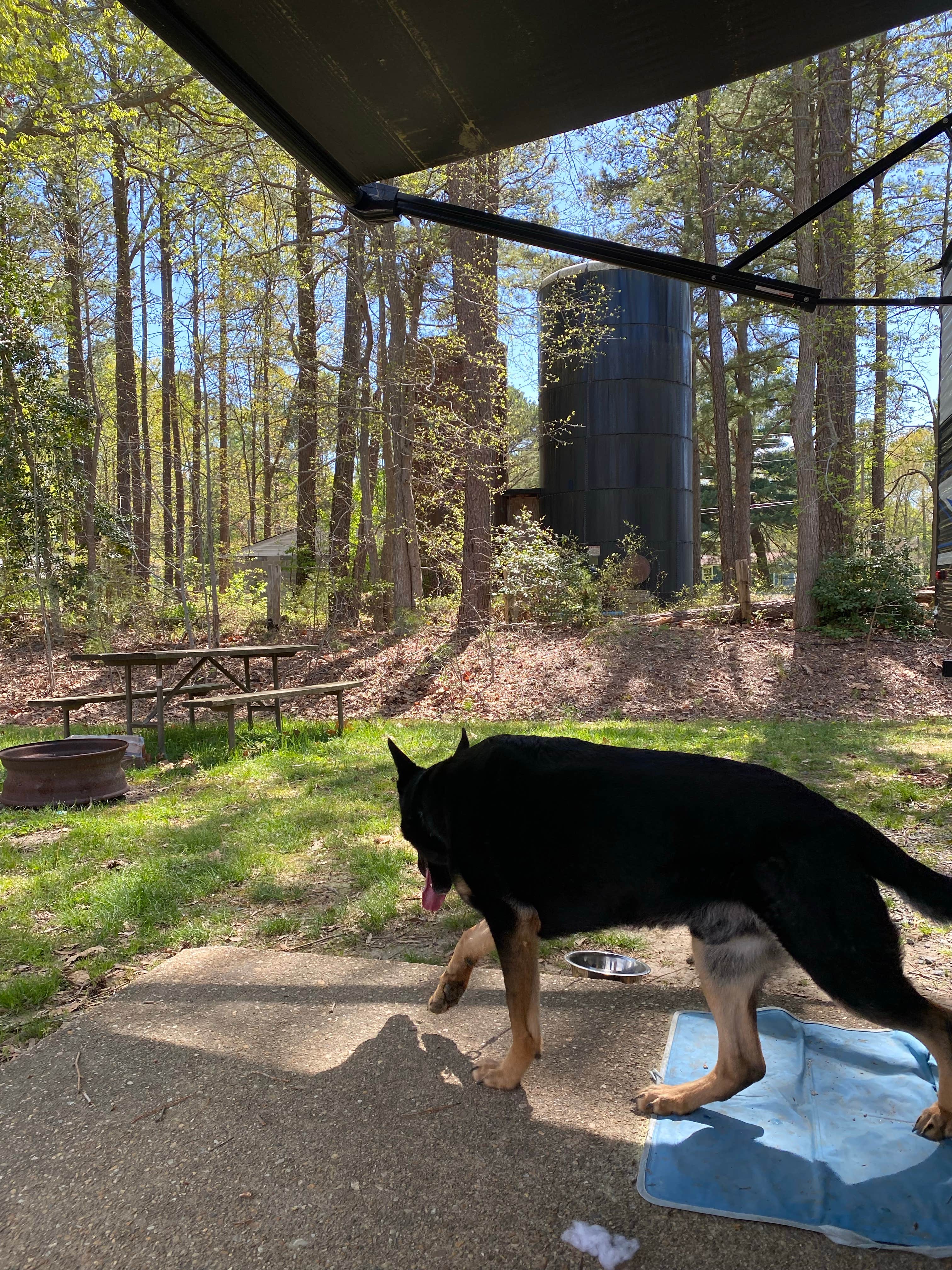 Ariel F.'s photo of camping with pets at Thousand Trails Harbor View near Colonial Beach, VA