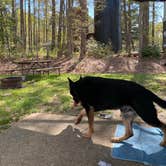 Review photo of Thousand Trails Harbor View by Ariel F., April 26, 2022