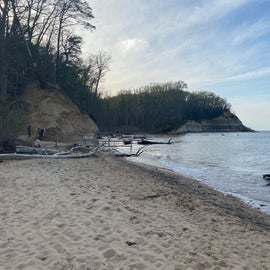 fossil beach at near by park
